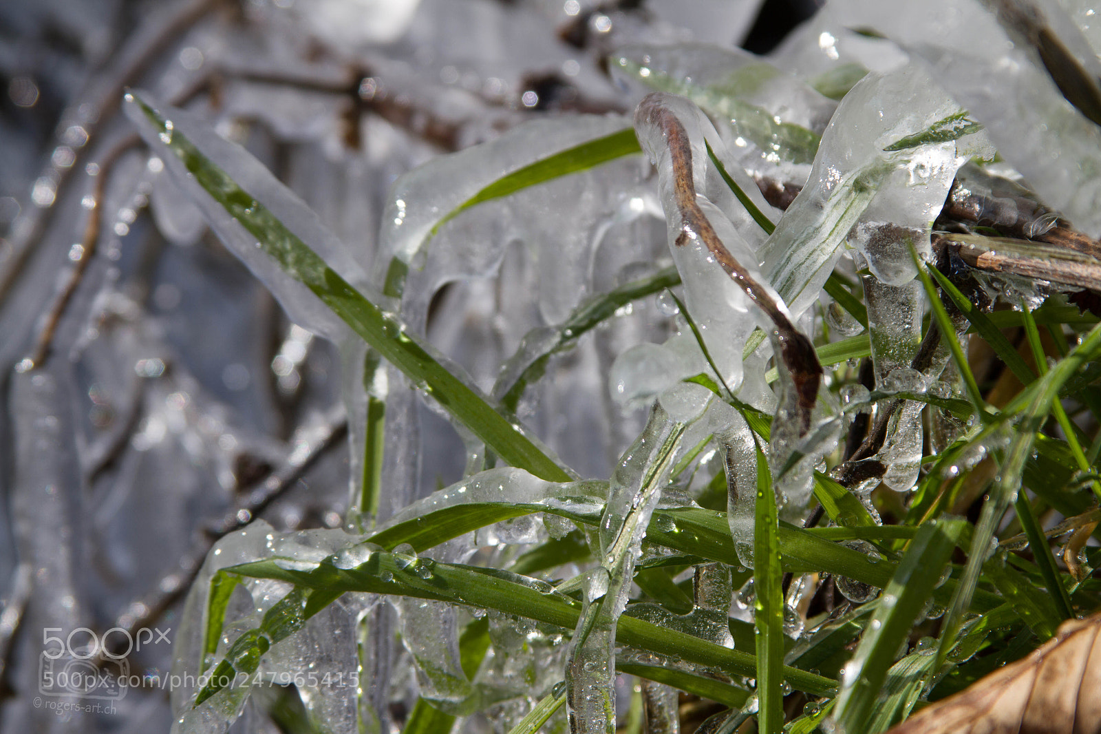 Canon EOS 7D sample photo. Väterchen frost photography