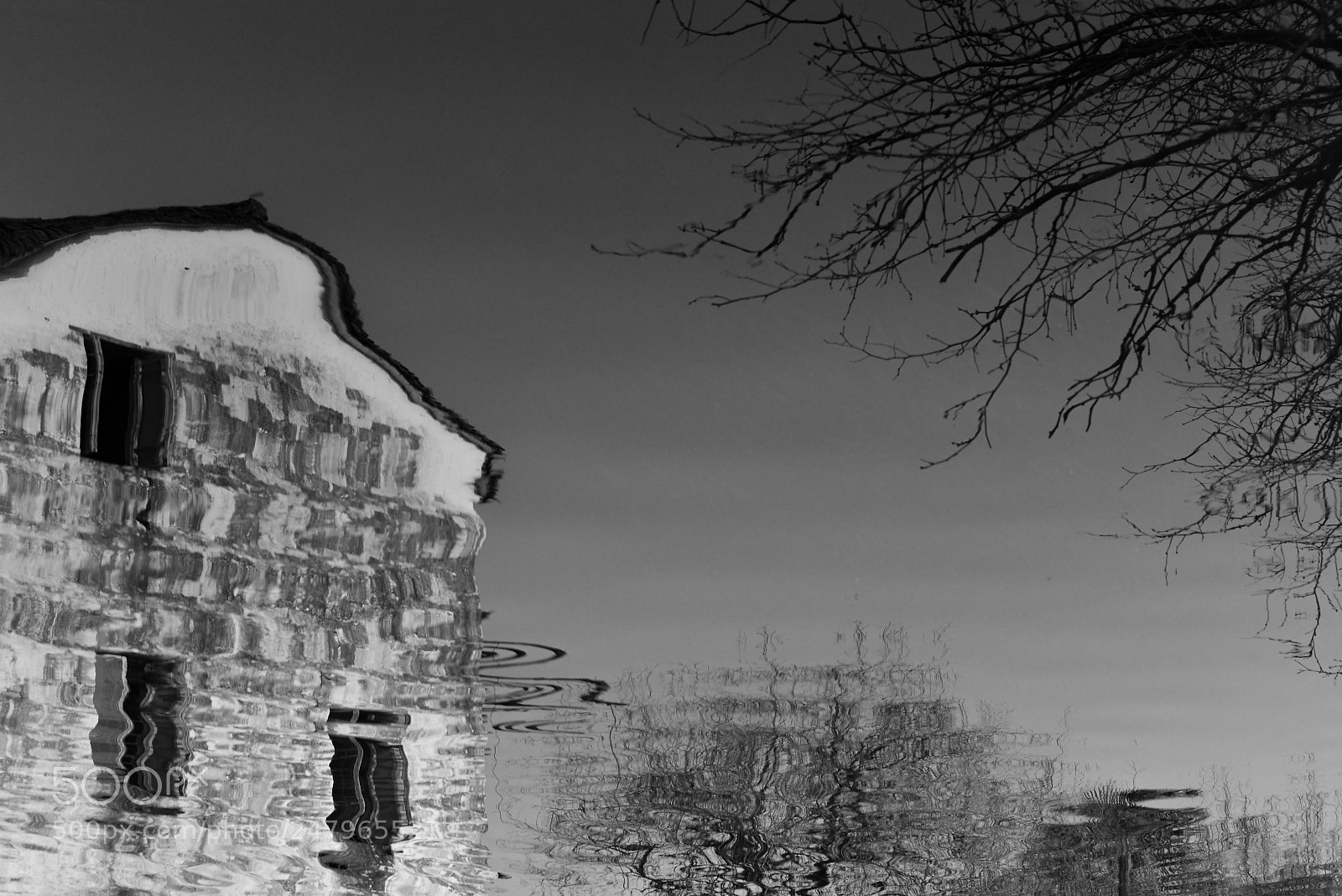 Nikon D600 sample photo. Untitled photography
