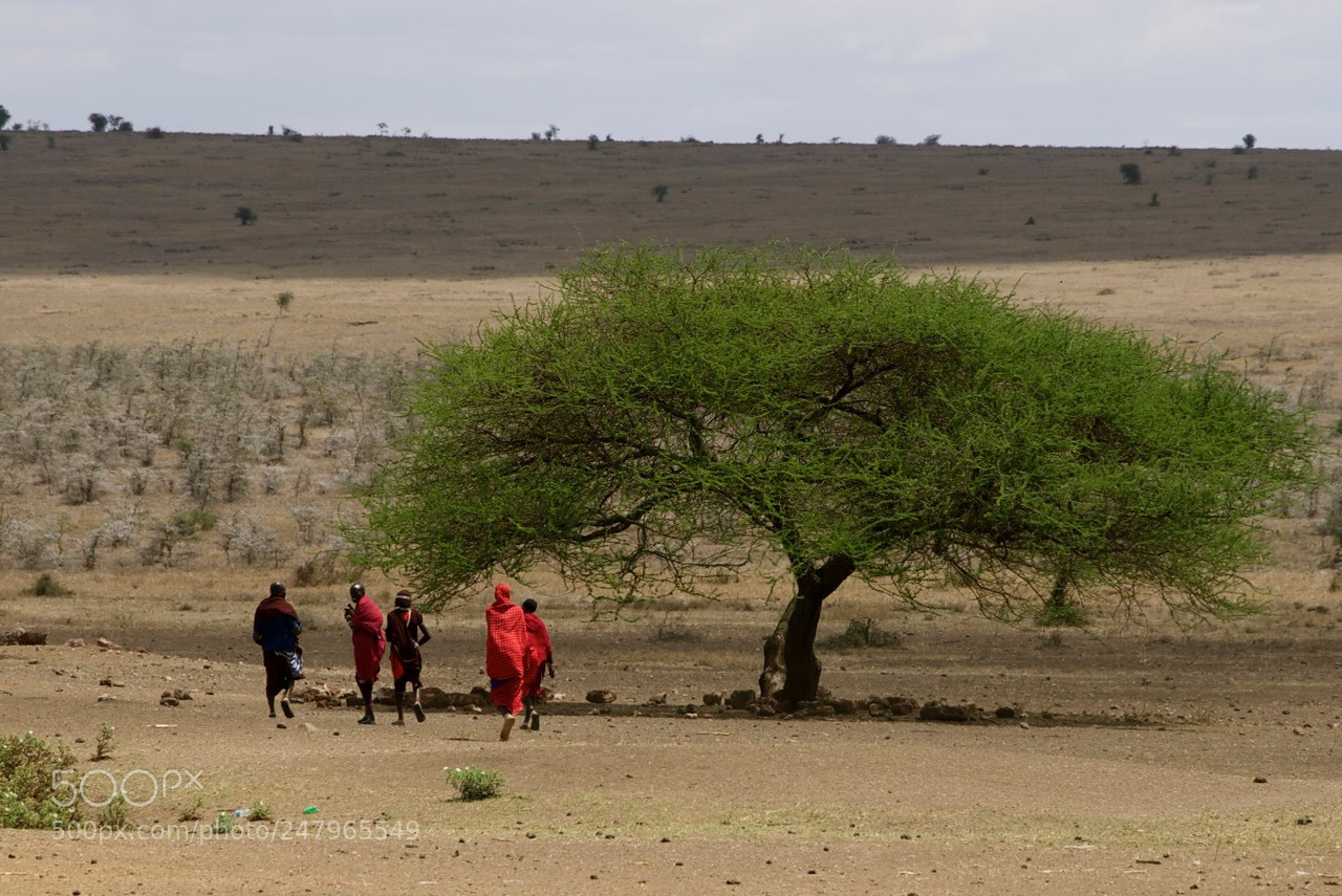 Sony a7 sample photo. Masai in serengeti photography
