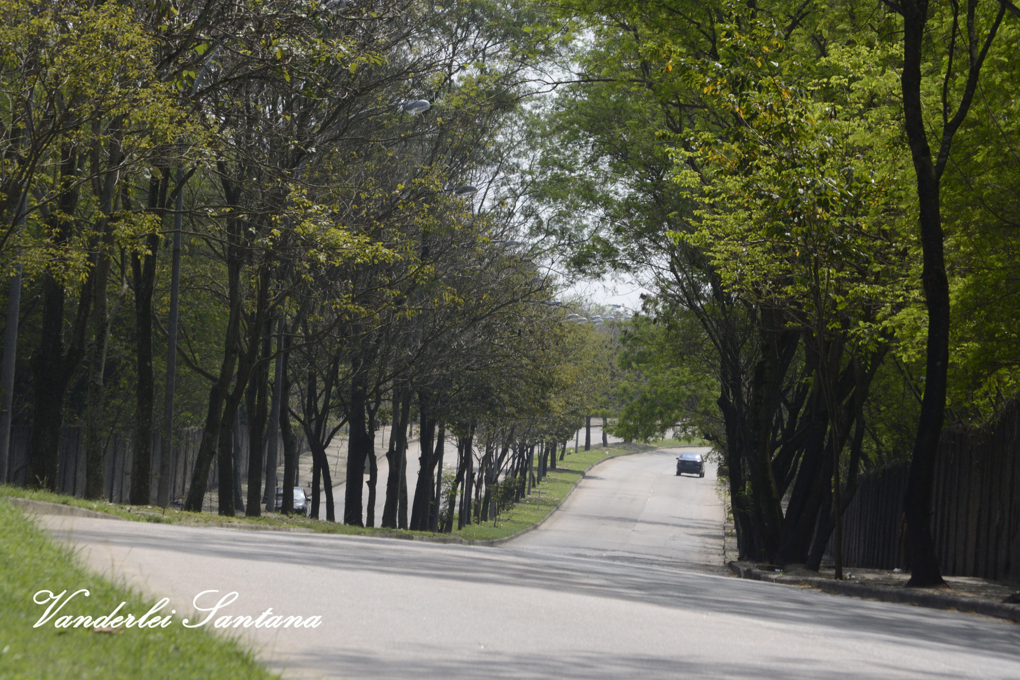 Nikon D7100 sample photo