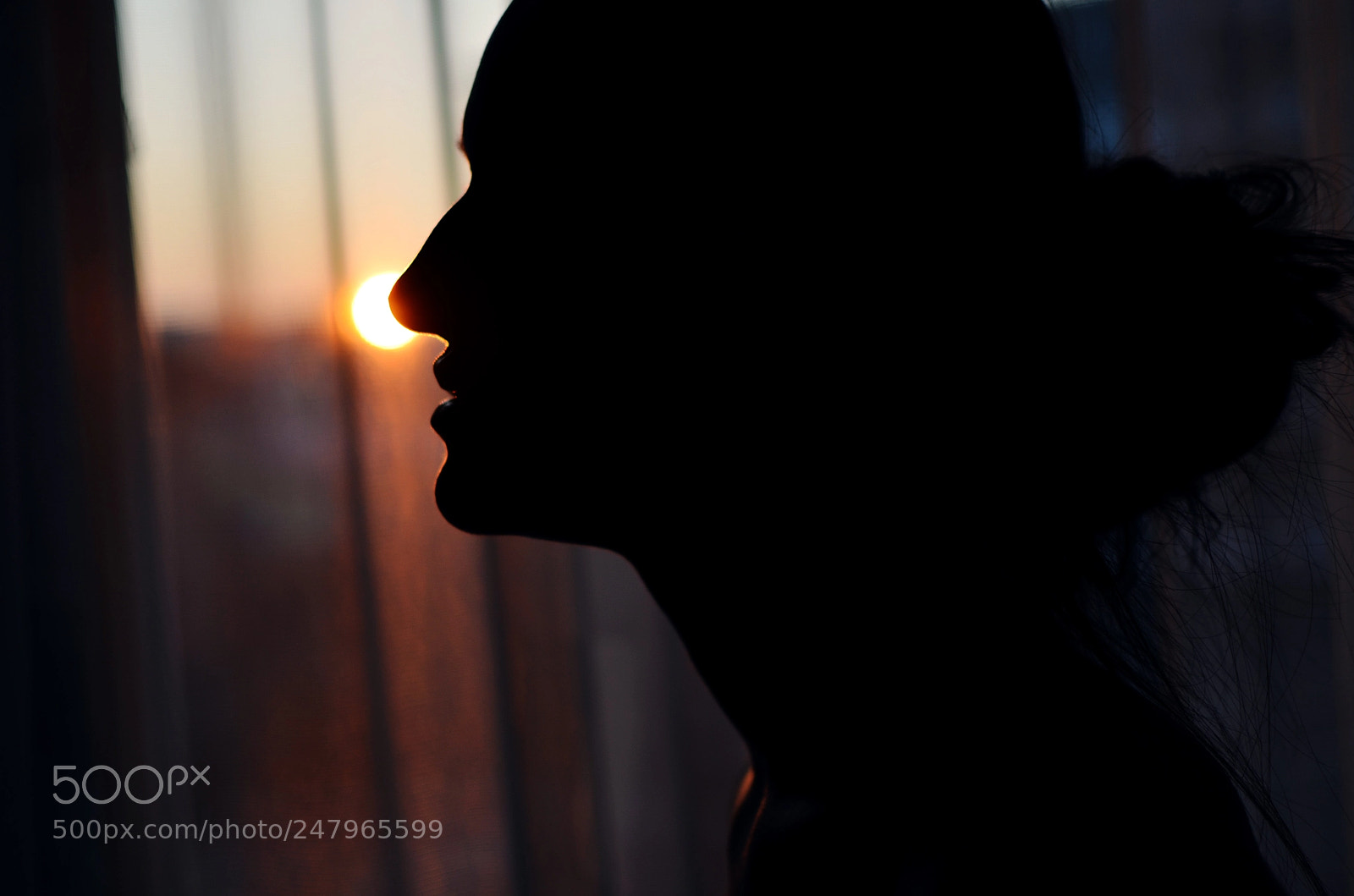 Nikon D5100 sample photo. Catch the last light. photography
