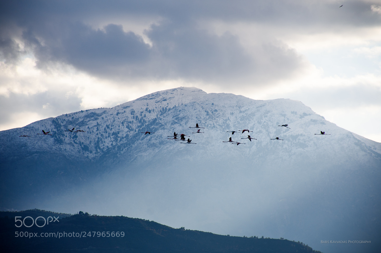 Nikon D7200 sample photo. Flamingos at alyki, egio photography