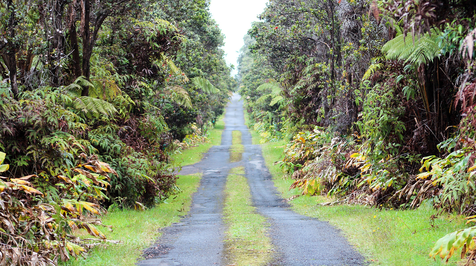Canon EOS 600D (Rebel EOS T3i / EOS Kiss X5) sample photo. Road to adventure photography
