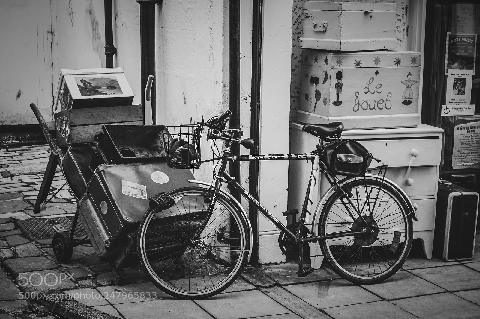 Canon EOS 1000D (EOS Digital Rebel XS / EOS Kiss F) sample photo. Cycles photography