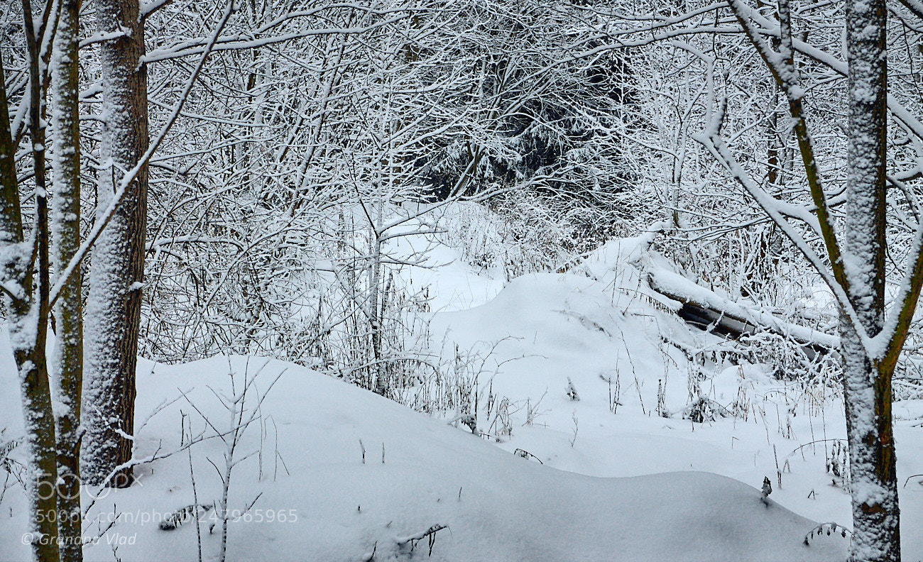 Canon EOS 1100D (EOS Rebel T3 / EOS Kiss X50) sample photo. A small snowdrifts... photography
