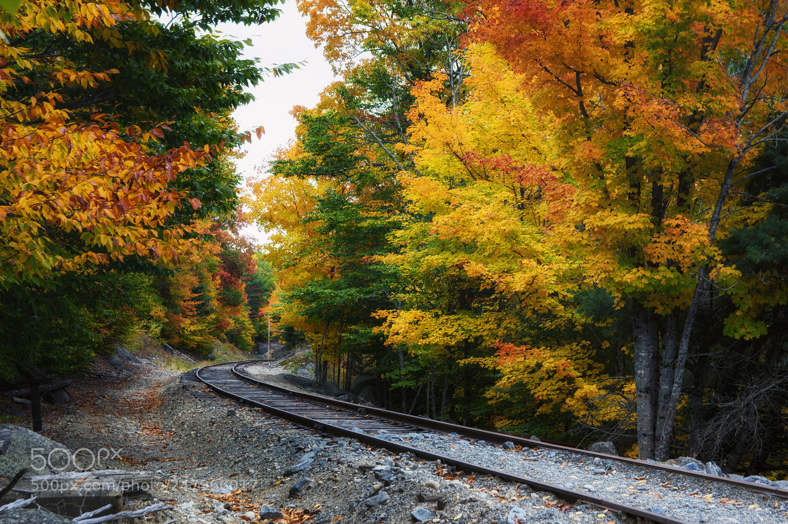 Pentax K-3 II sample photo. Railroad photography