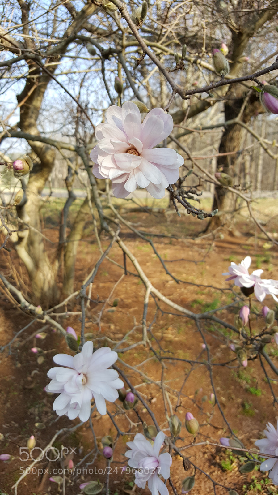 Samsung Galaxy S6 sample photo. 20180223_154317.jpg photography