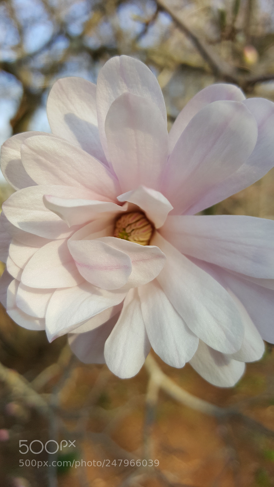 Samsung Galaxy S6 sample photo. 20180223_154327.jpg photography