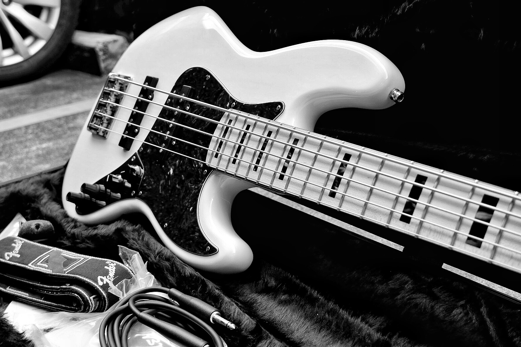 Fujifilm X-A5 sample photo. Bass photography