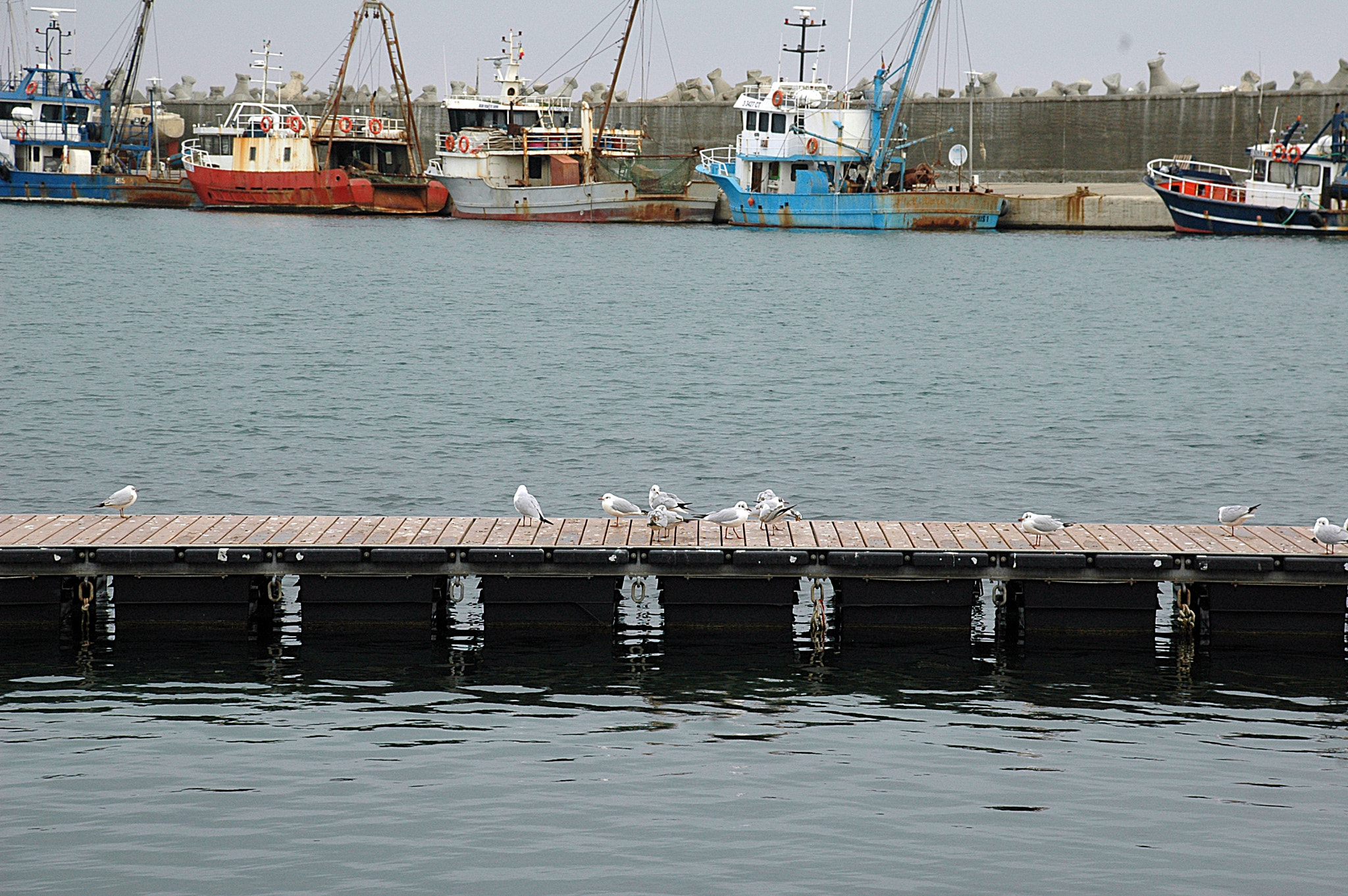 Nikon D70 sample photo. Morning on pier photography