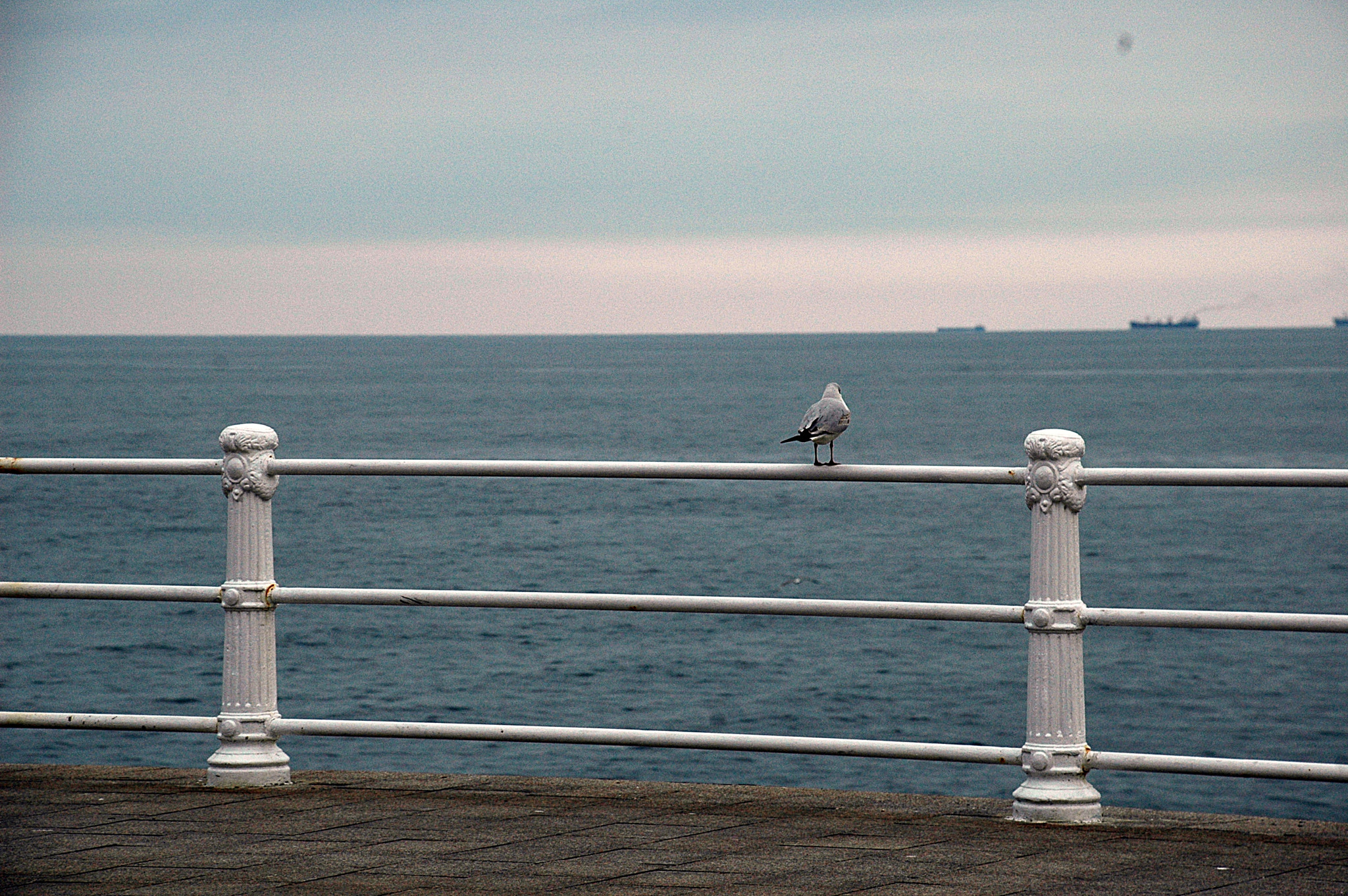 Nikon D70 sample photo. The overlook photography