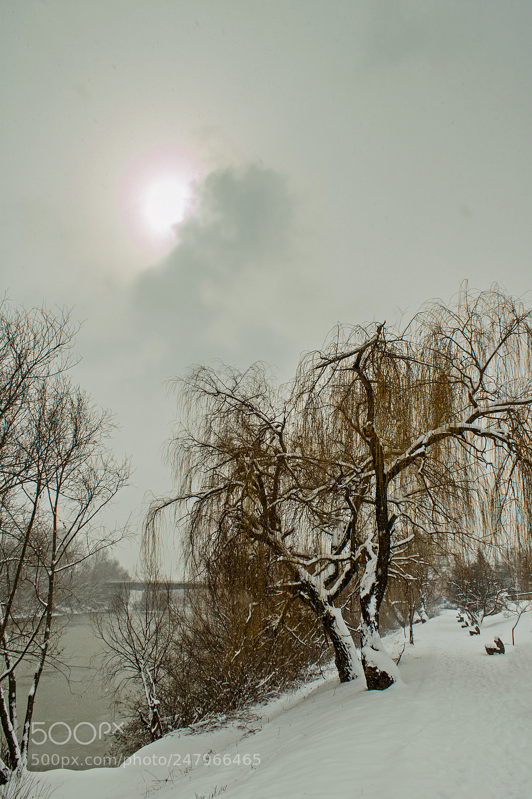 Canon EOS 750D (EOS Rebel T6i / EOS Kiss X8i) sample photo. Sun and snow photography