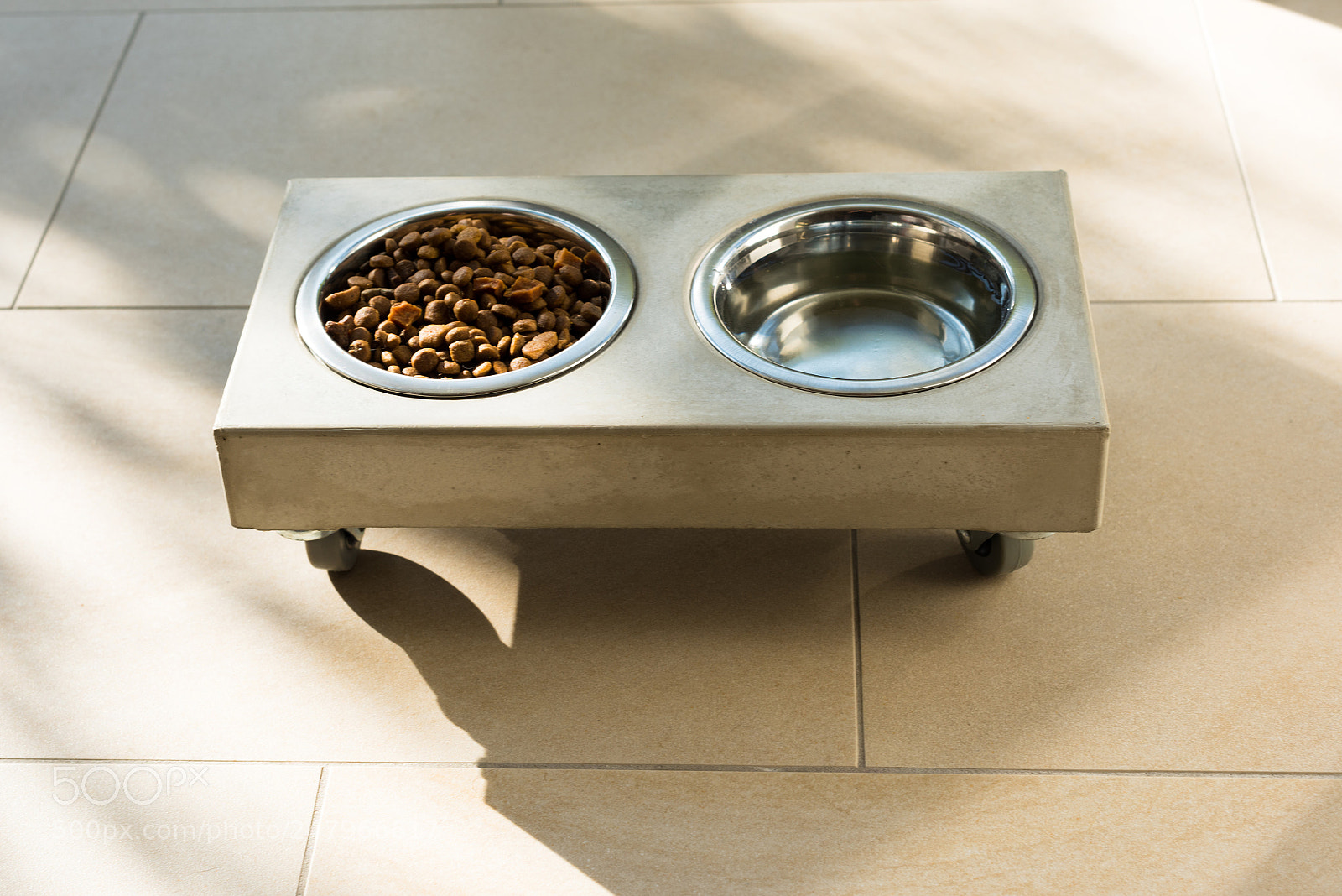 Nikon D810 sample photo. Stylish cat food bowl photography