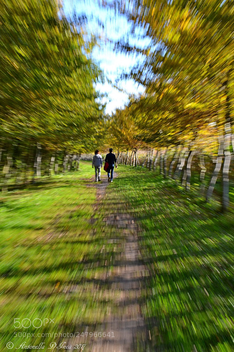 Nikon D3100 sample photo. Passeggiando photography