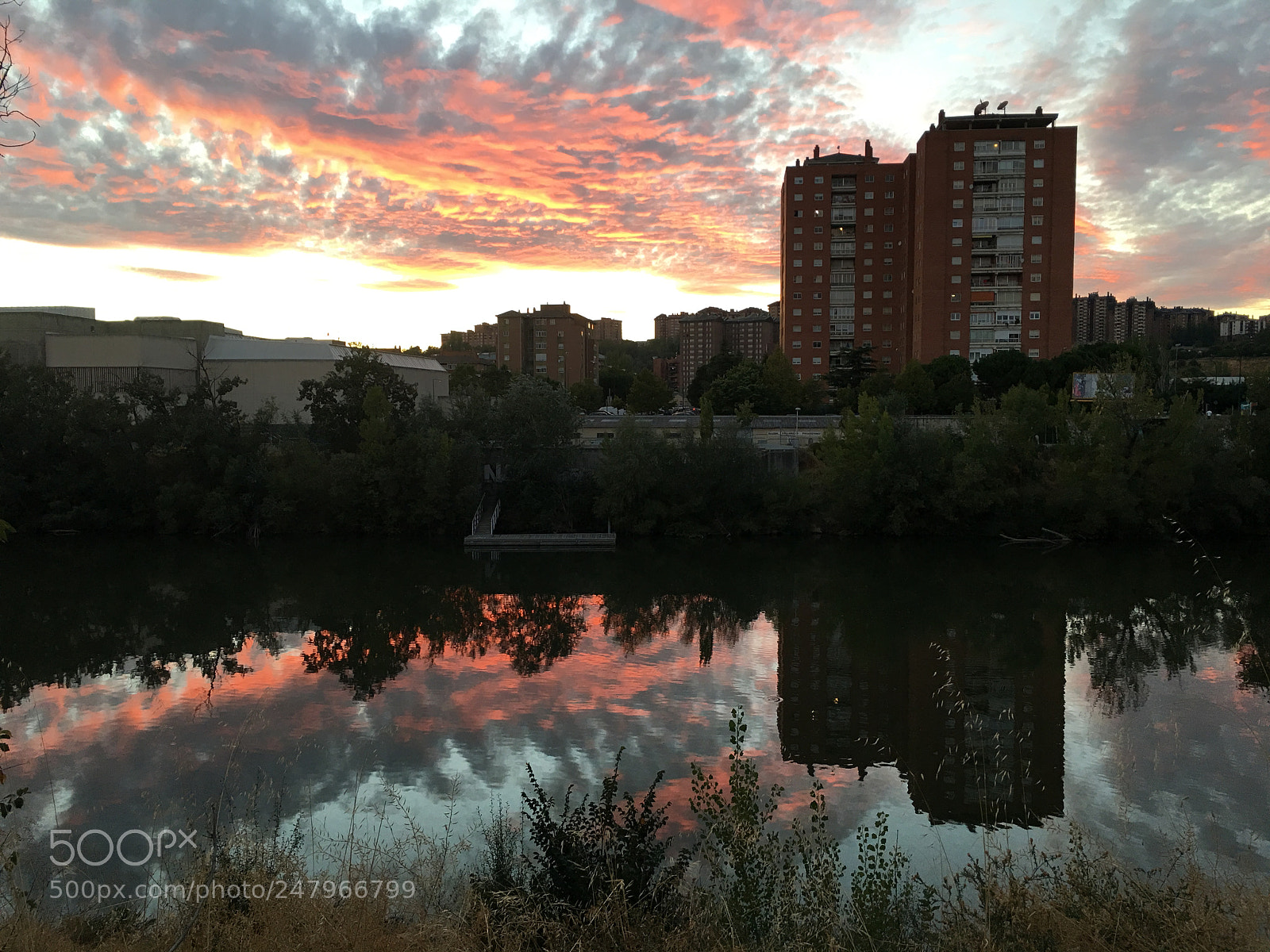 Apple iPhone 6s Plus sample photo. Reflejos photography