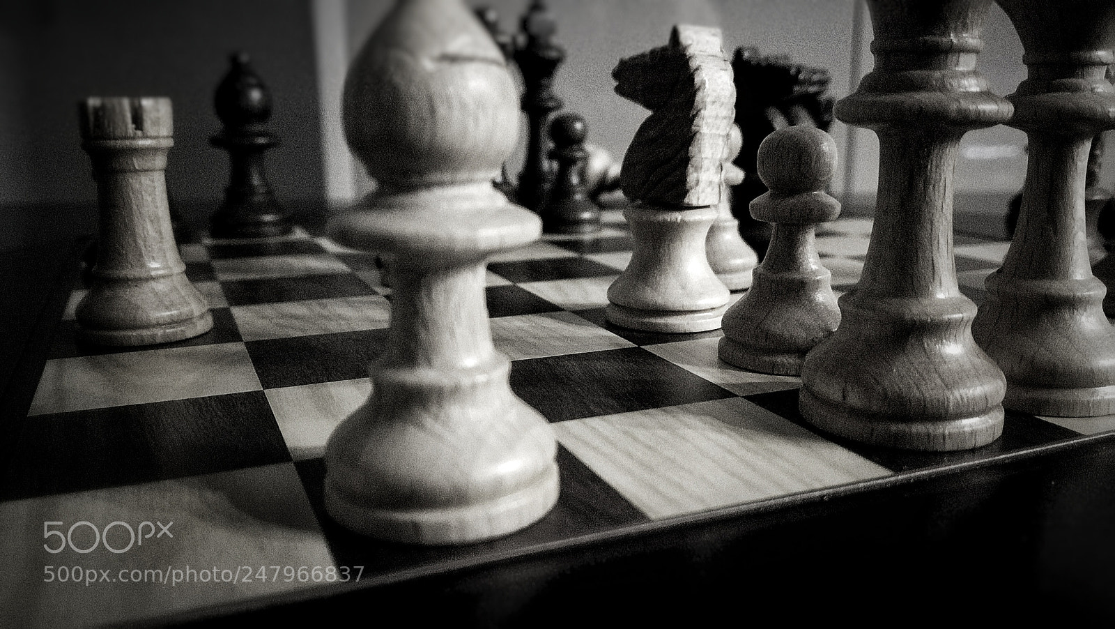 HUAWEI P9 LITE sample photo. Untitled photography