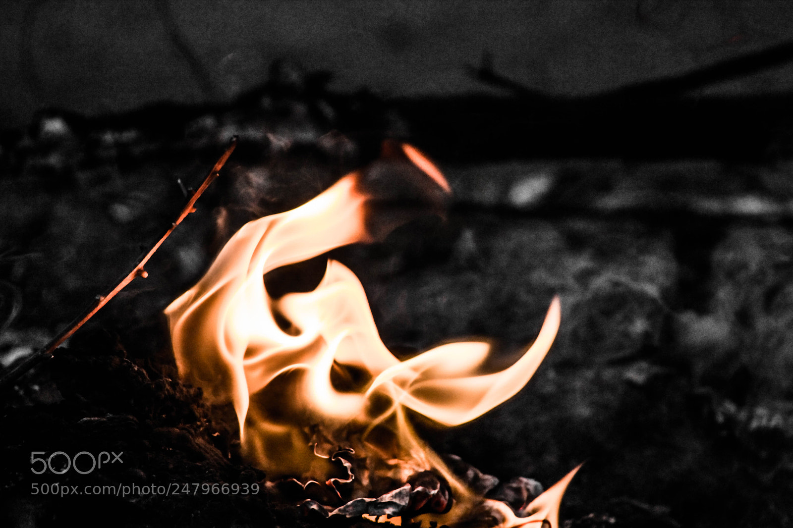 Canon EOS 550D (EOS Rebel T2i / EOS Kiss X4) sample photo. Fire of ..... photography