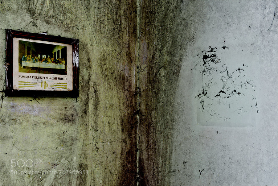 Nikon D610 sample photo. A commemorative of the photography