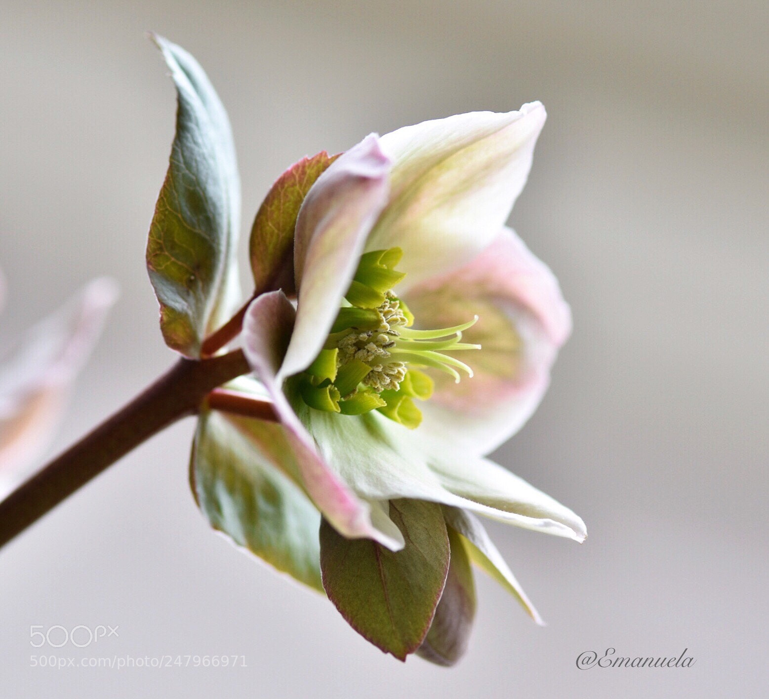 Nikon D7200 sample photo. Untitled photography
