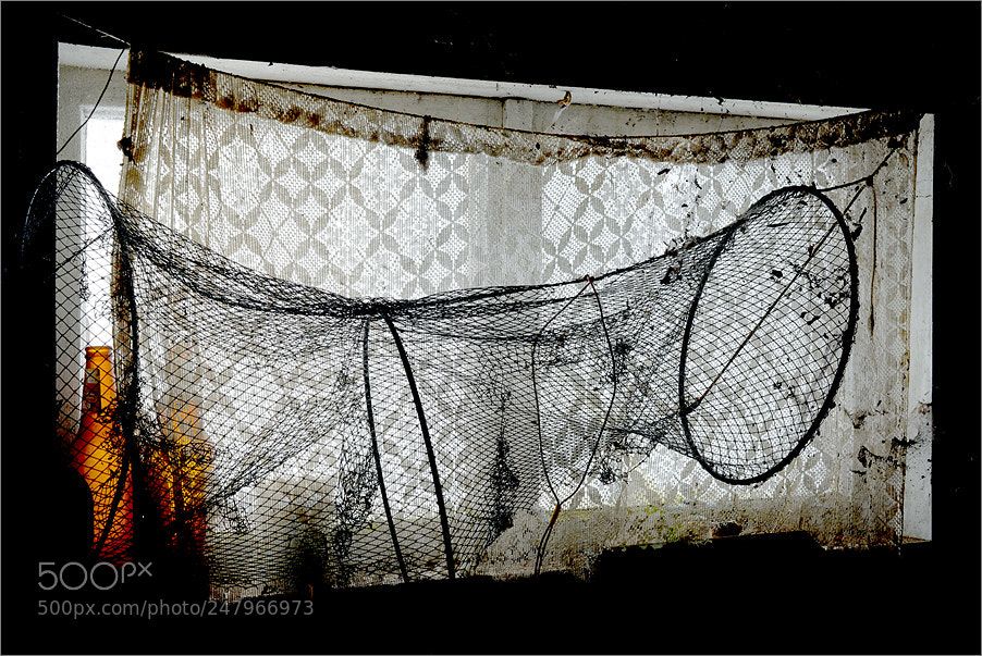 Nikon D610 sample photo. Fishing net photography