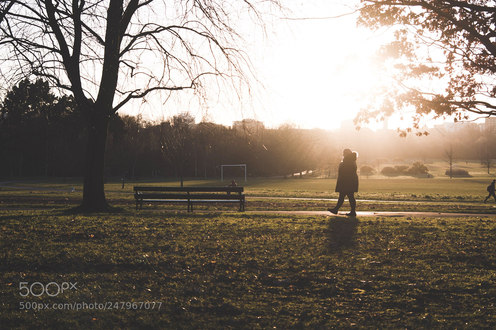 Nikon D7100 sample photo. Untitled photography