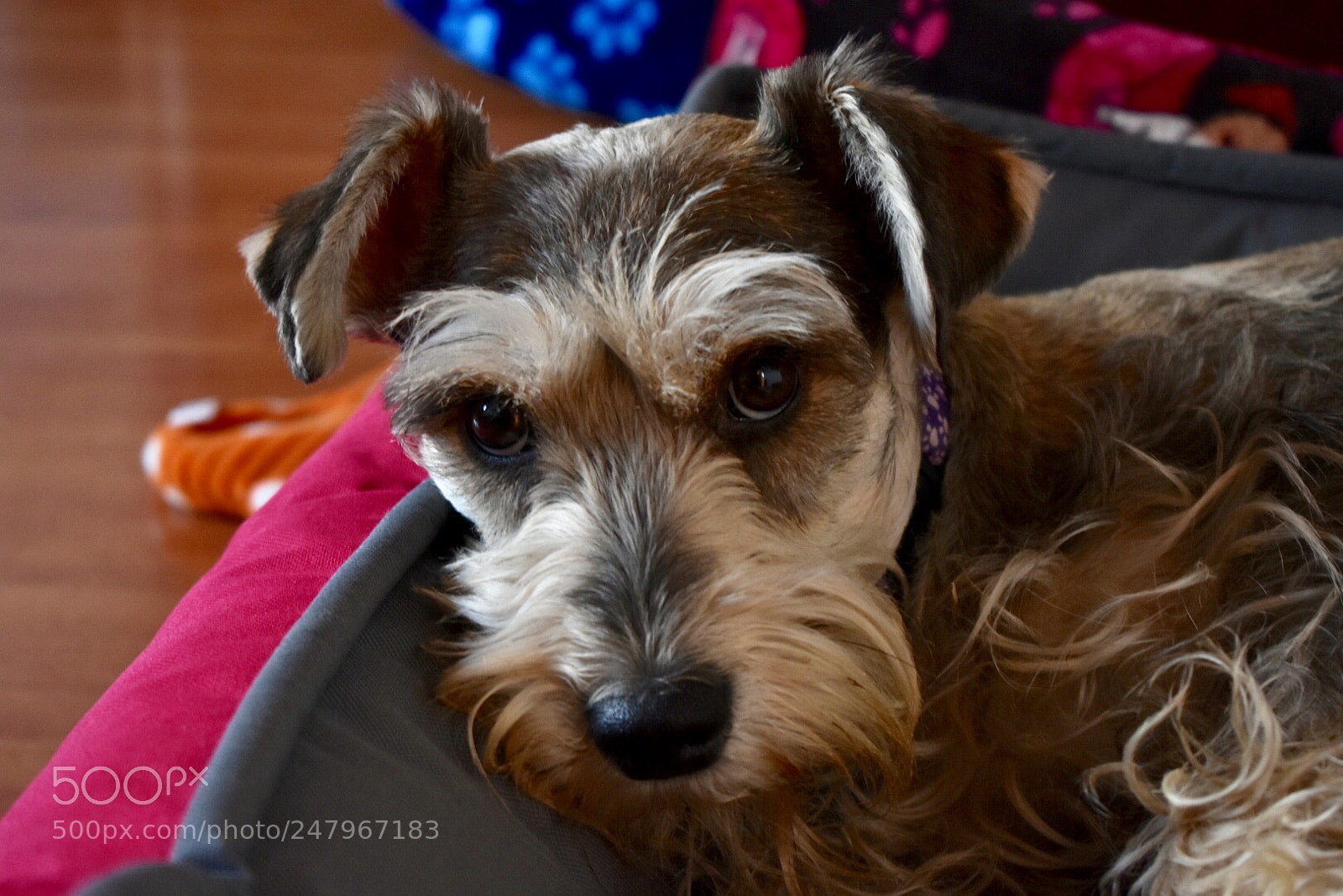 Nikon D3400 sample photo. Shanti photography