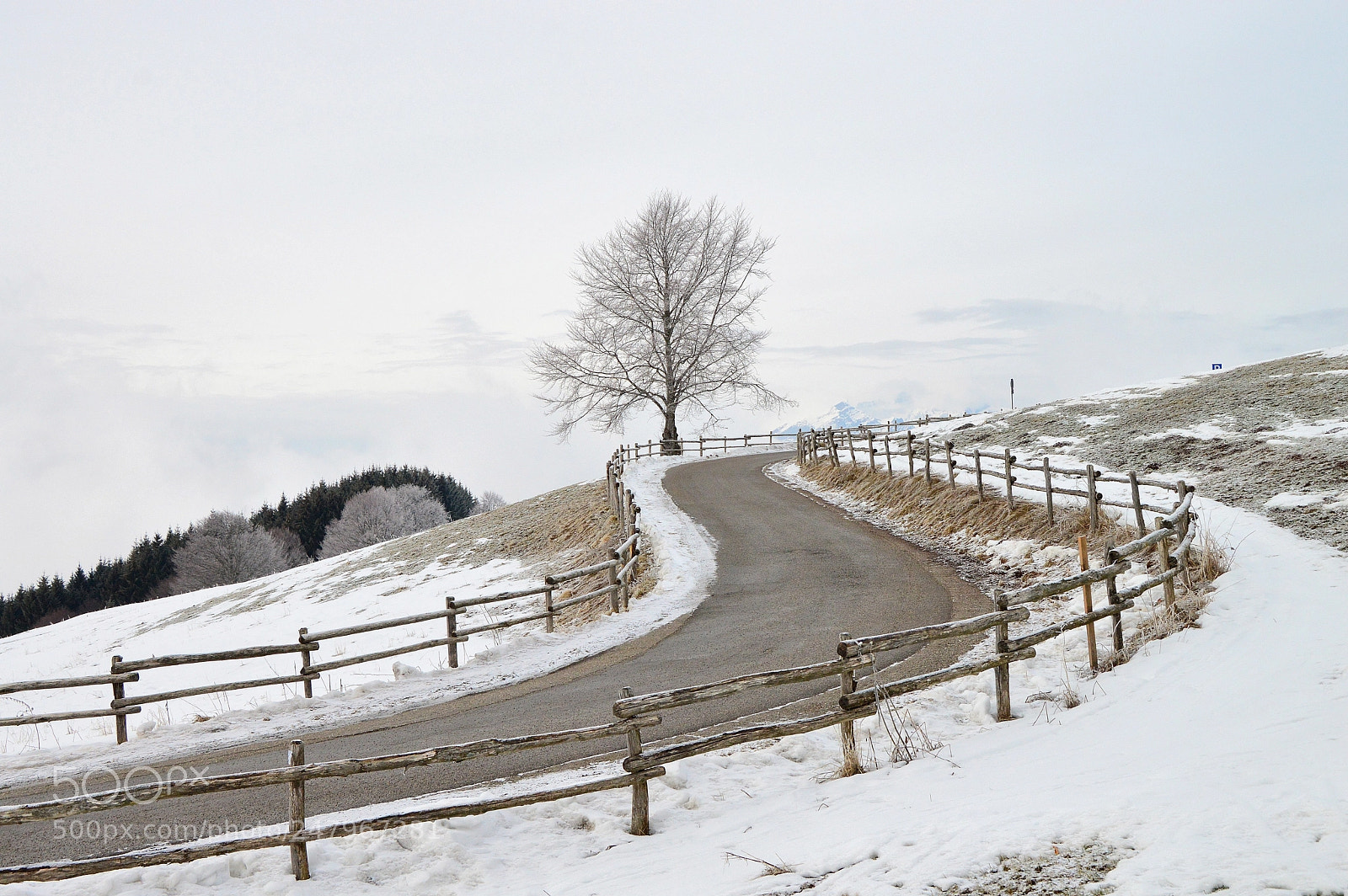 Nikon D3200 sample photo. Col indes photography
