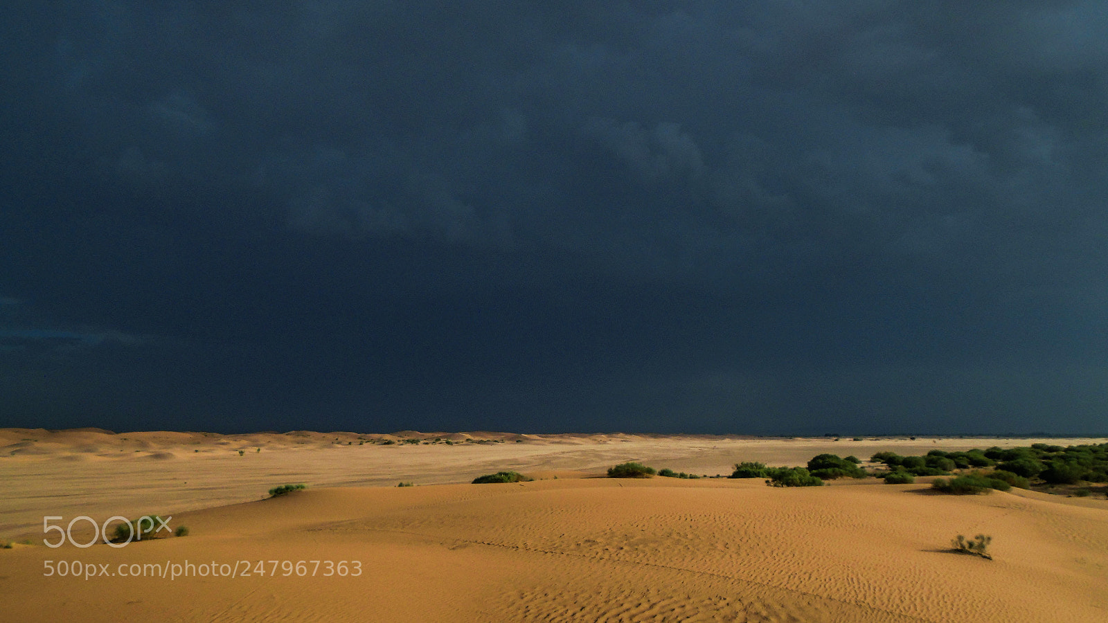 Sony Cyber-shot DSC-W800 sample photo. Desert of algeria photography