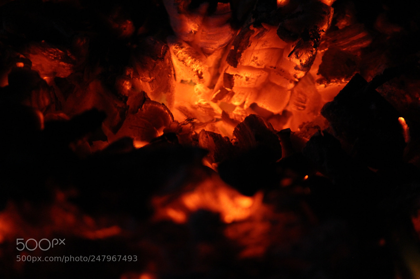 Canon EF-S 55-250mm F4-5.6 IS II sample photo. Red hot wood photography