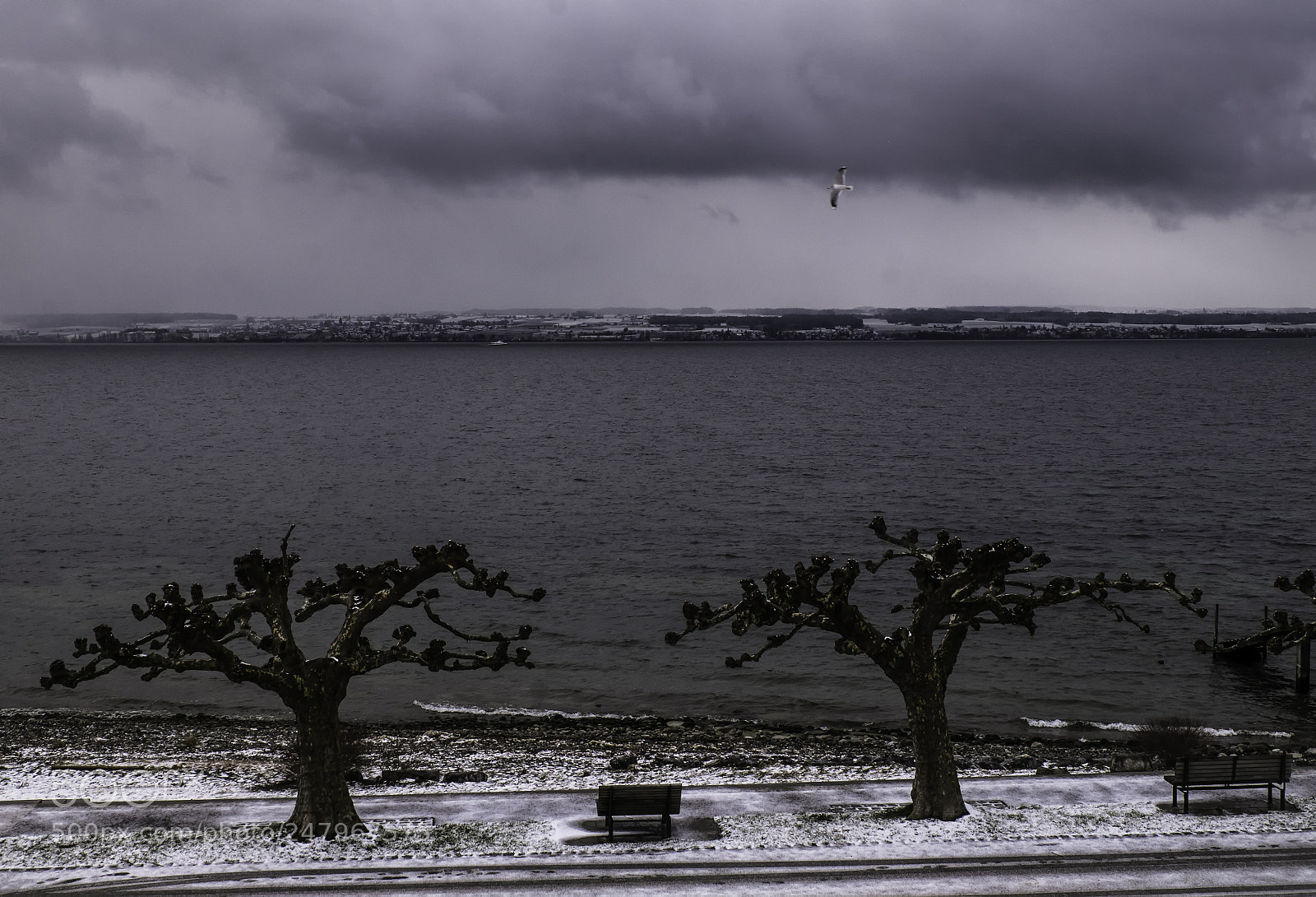 Fujifilm X-T1 sample photo. Die mit dem wind photography