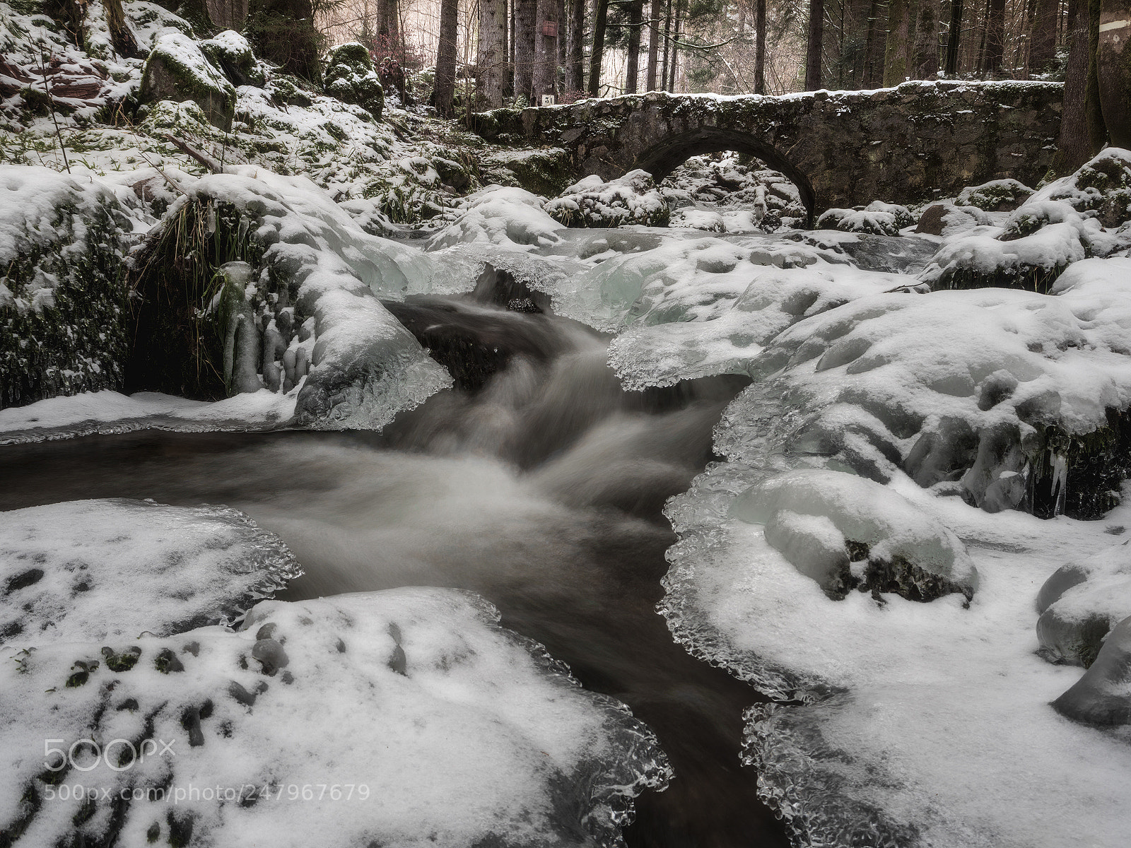 Olympus OM-D E-M5 II sample photo. Frozen photography