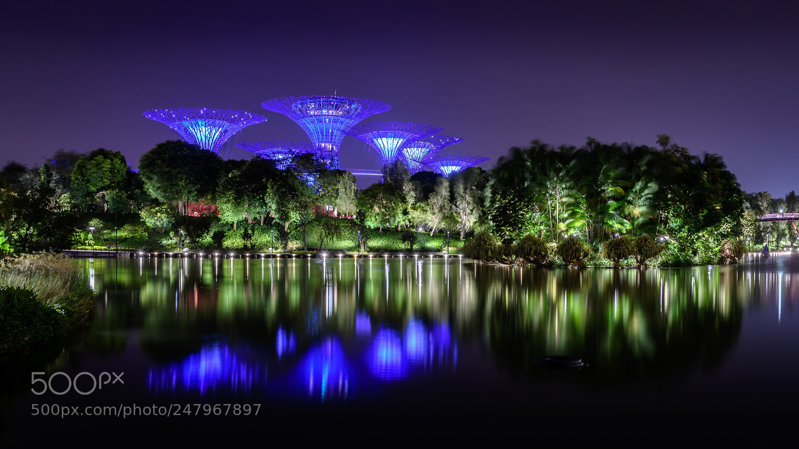 Nikon D500 sample photo. Gardens by the bay photography