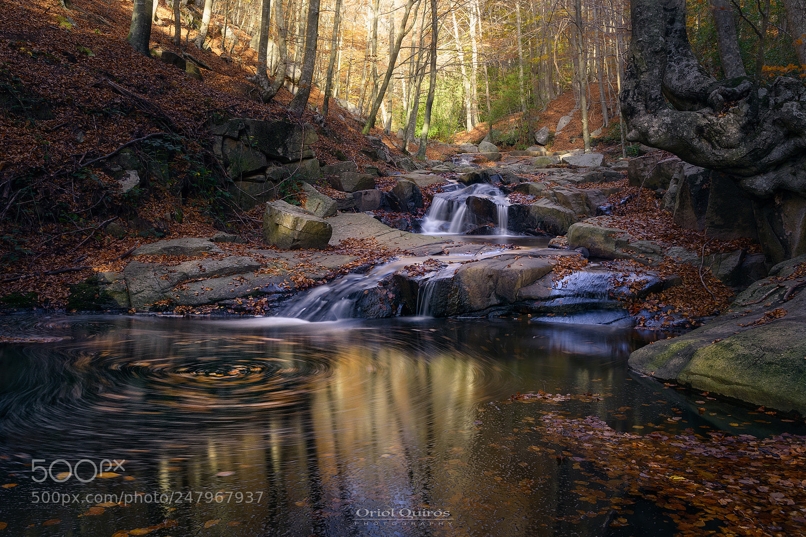 Nikon D7100 sample photo. Montseny photography