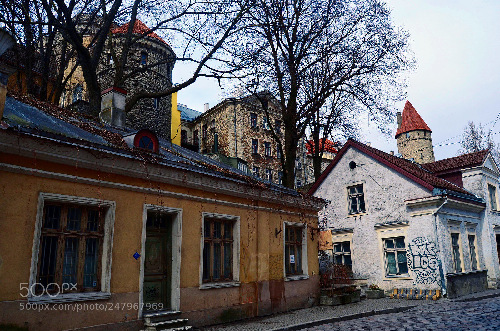 Nikon D5100 sample photo. Mixed culture photography