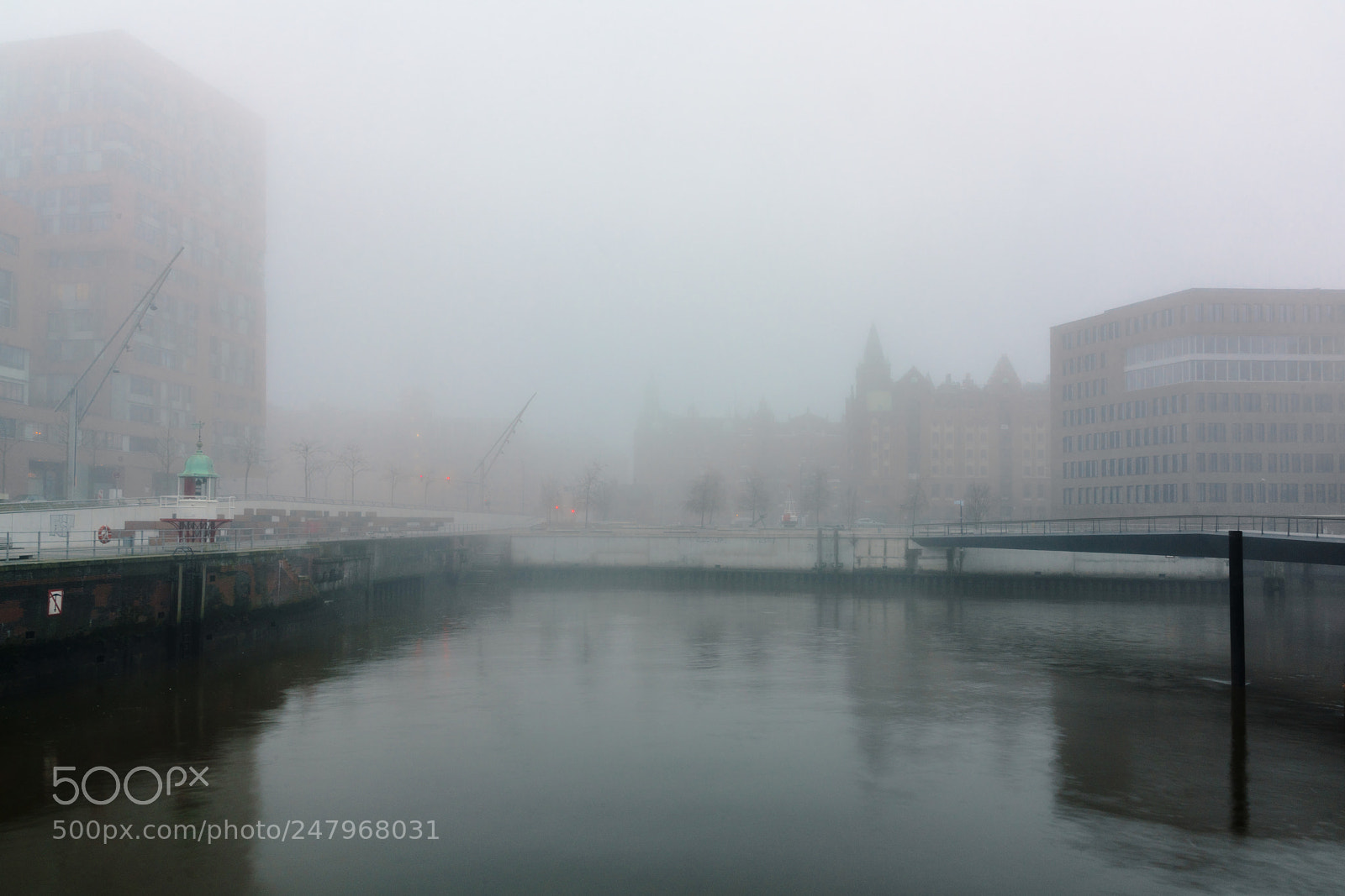 Sony a7R II sample photo. A cold and misty photography