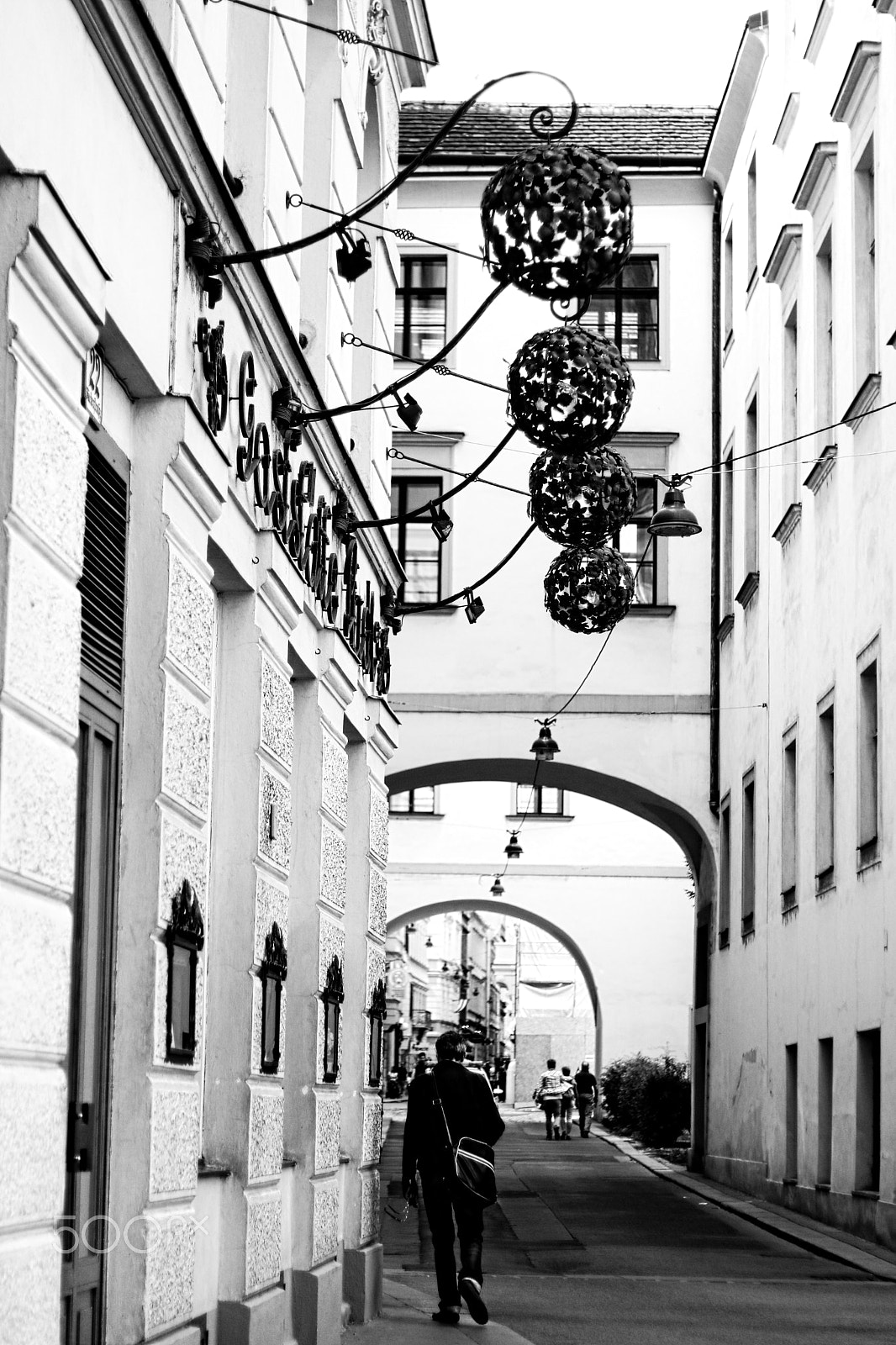 Canon EOS 750D (EOS Rebel T6i / EOS Kiss X8i) sample photo. Viennese walker photography