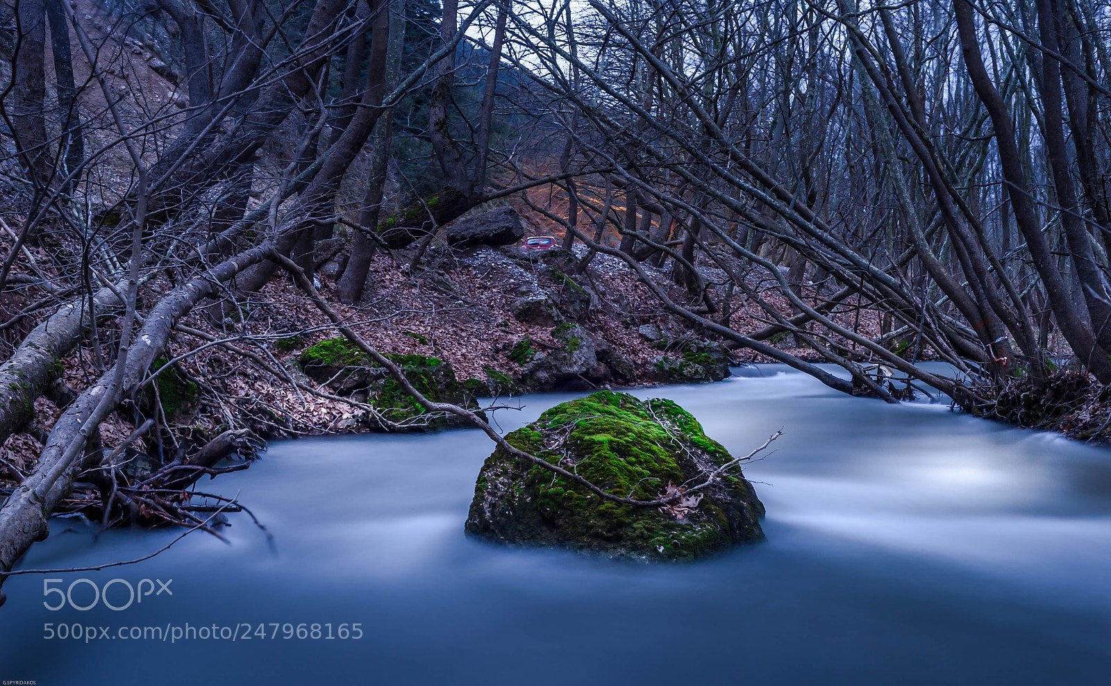 Nikon D700 sample photo. The dreamy river photography