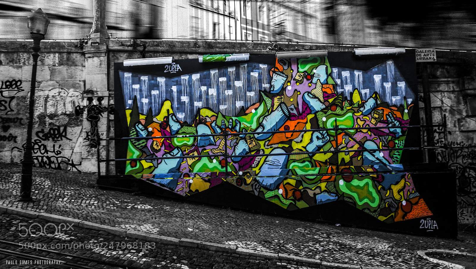 Nikon 1 J5 sample photo. Arte colorida ca tica photography