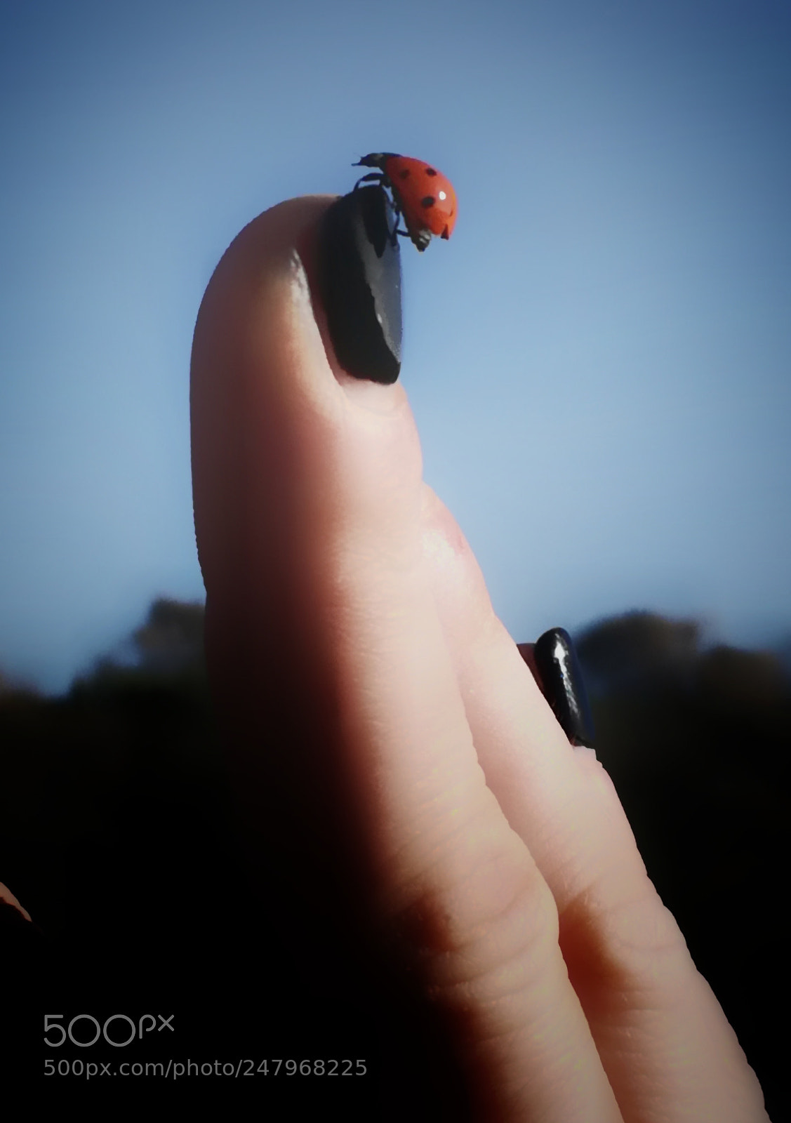 HUAWEI P9 LITE sample photo. Untitled photography