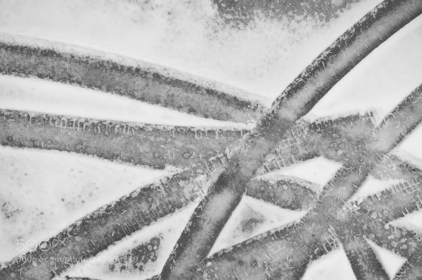 Nikon D5000 sample photo. Traces photography