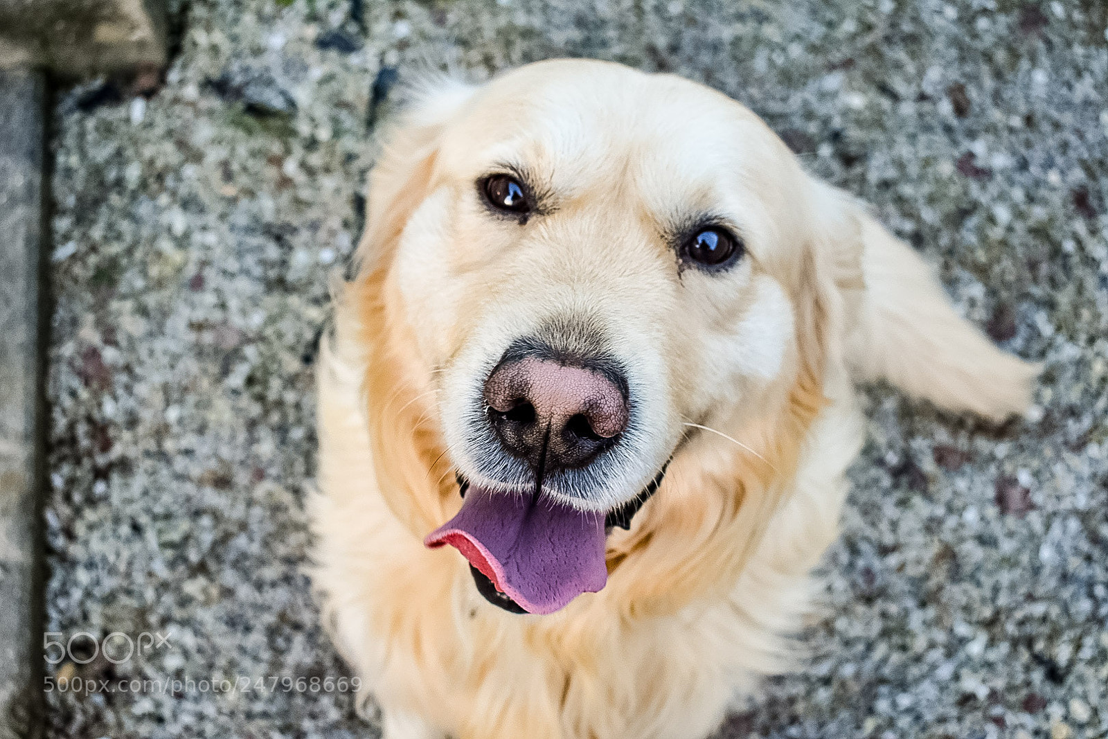 Nikon D3400 sample photo. Look at me photography