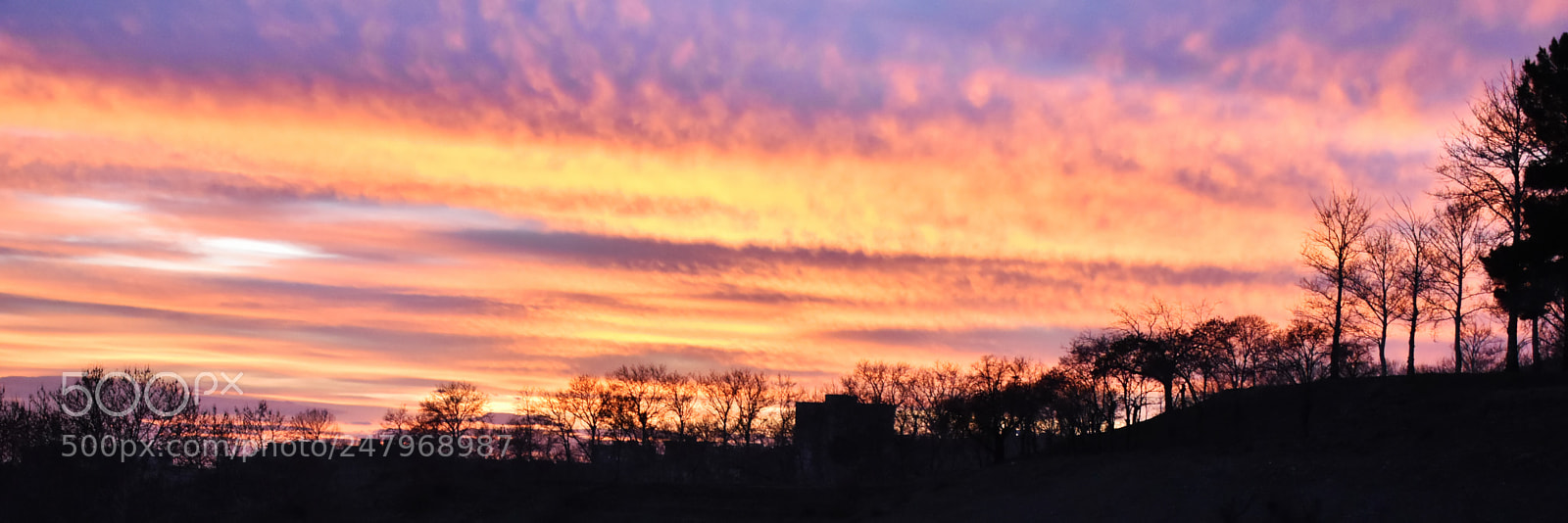 Nikon D5600 sample photo. Sunset photography