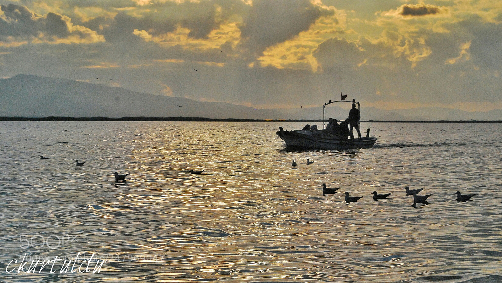 Nikon D60 sample photo. Teamwork photography
