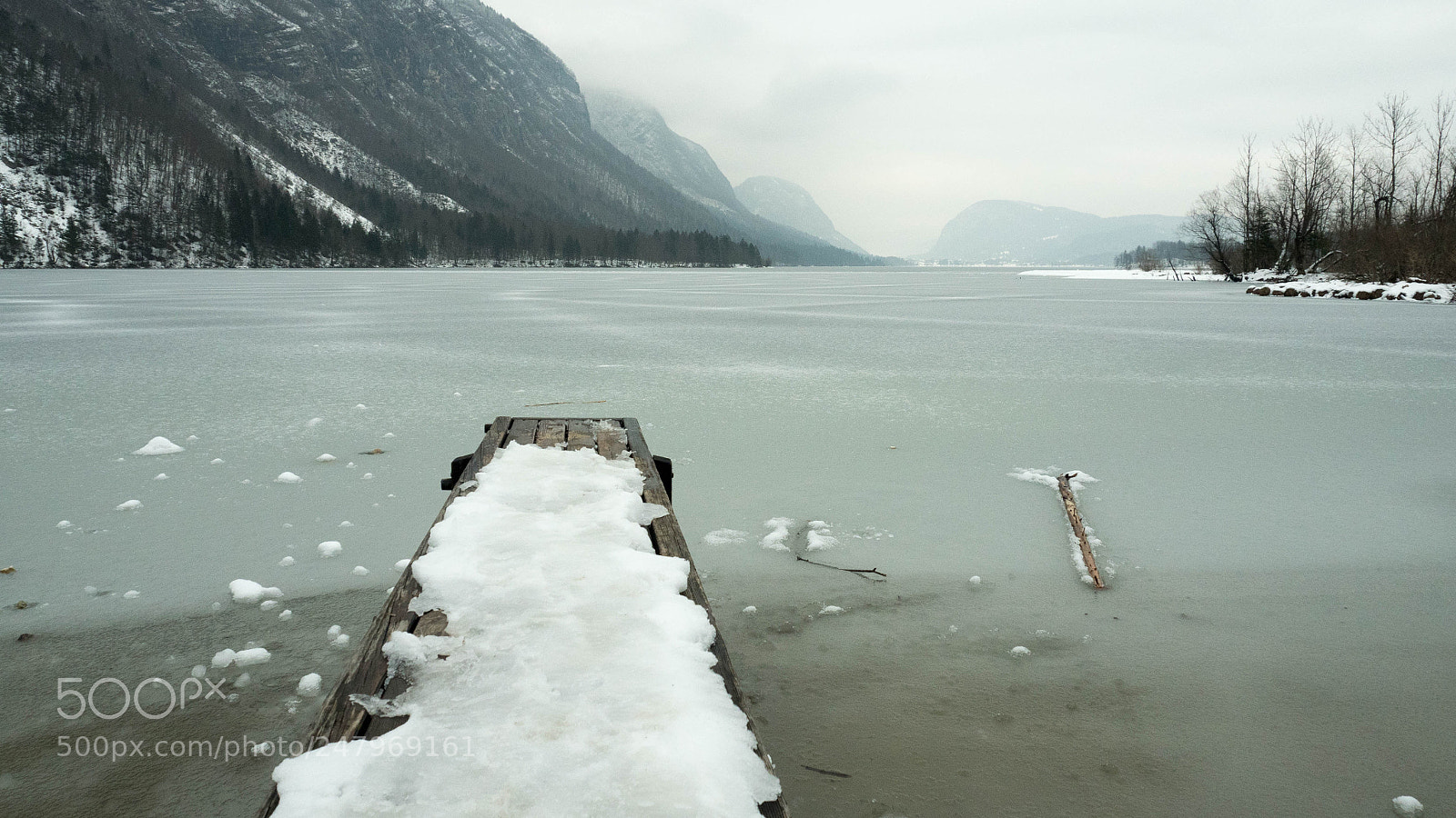Olympus OM-D E-M5 II sample photo. Bled_bohinj photography