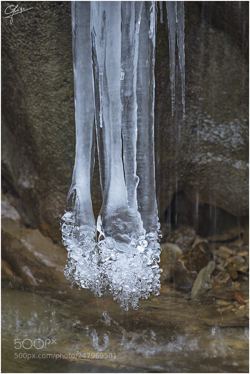 Nikon D610 sample photo. Water and ice photography