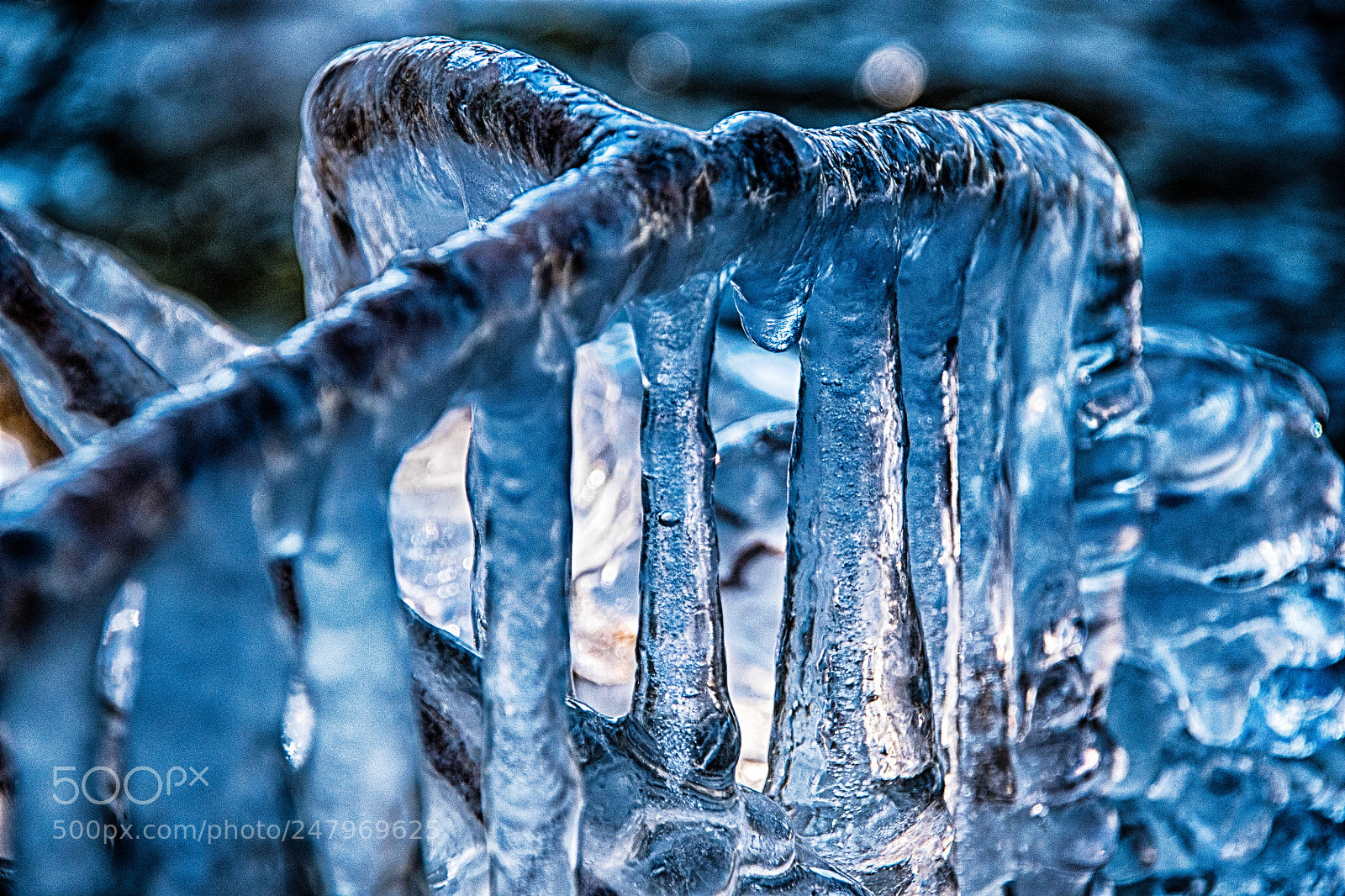 Nikon D5500 sample photo. Icerain photography