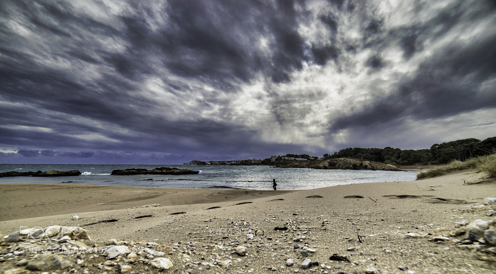 Nikon D610 sample photo. Alone before life photography