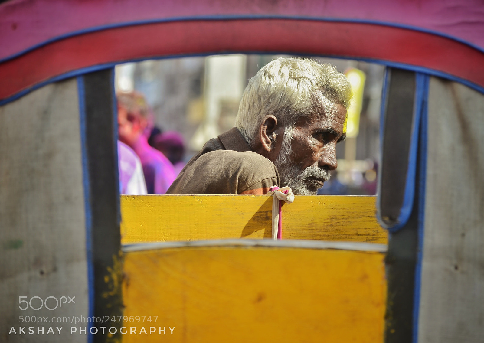 Nikon D5100 sample photo. Golden frame . photography
