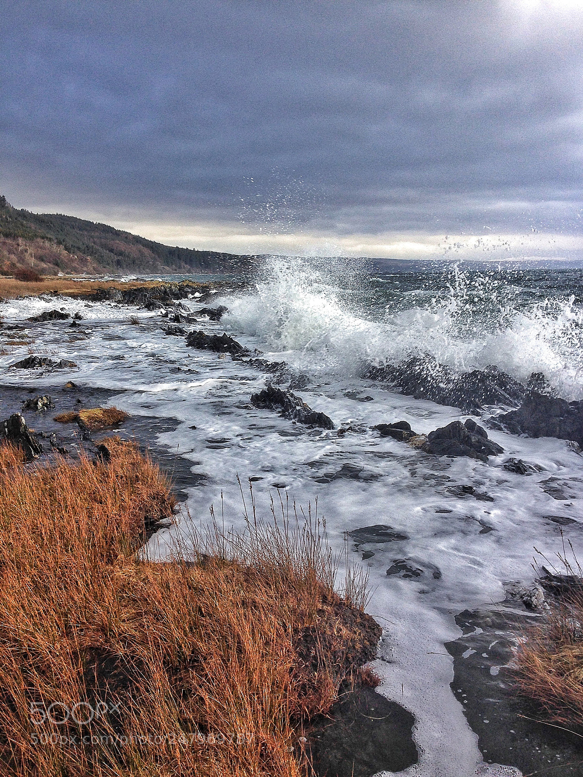Apple iPhone 5c sample photo. Another day of the photography