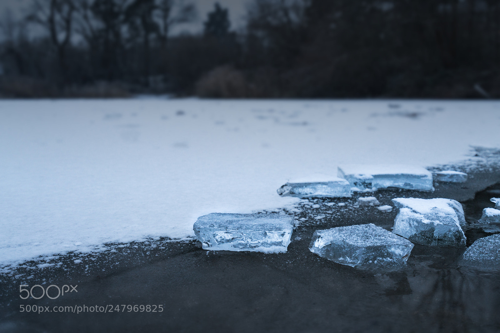 Sony a7R II sample photo. Ice on a pond photography
